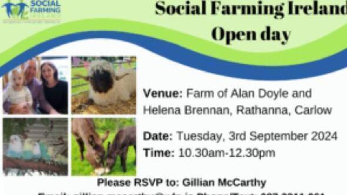 Social farming open day in Rathanna