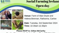 Social farming open day in Rathanna