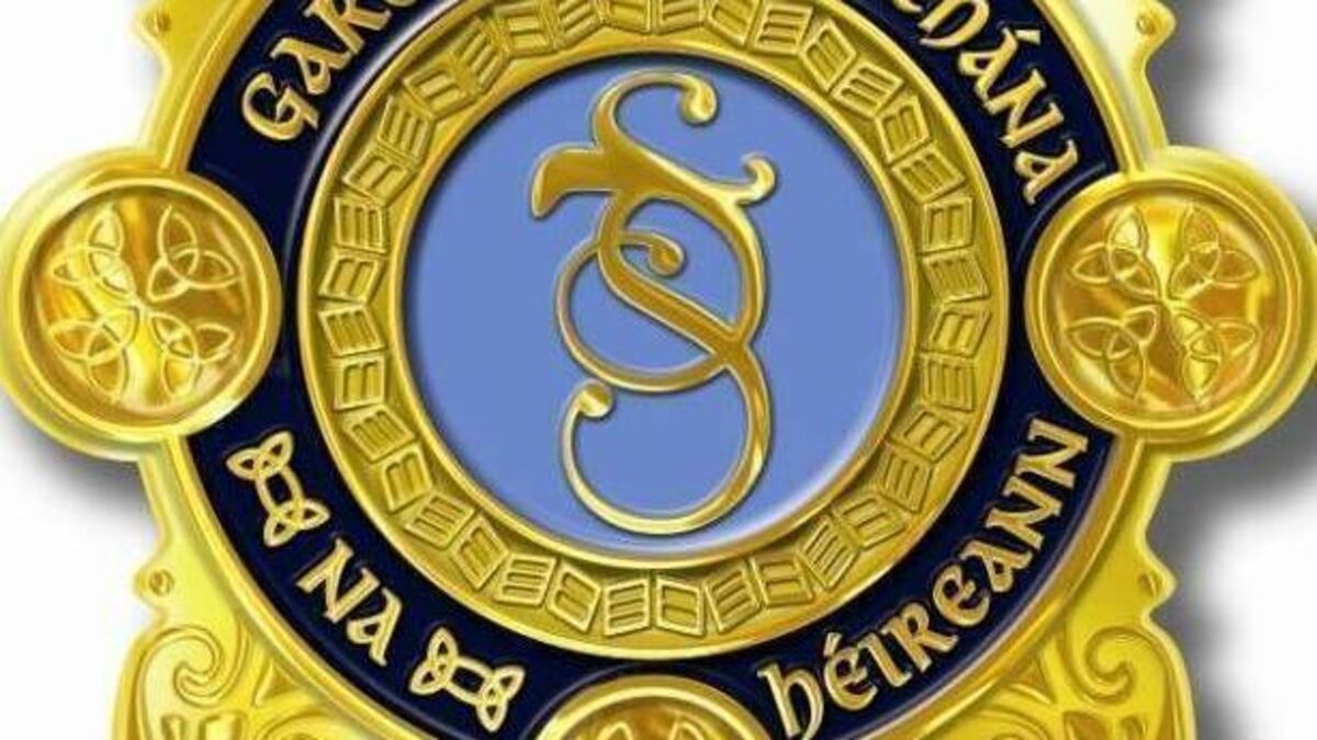 Garda investigation launched after €50k of cocaine seized in Rathvilly