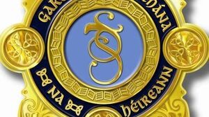 Garda investigation launched after €50k of cocaine seized in Rathvilly