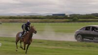 Manes vs motors: Max Hart races alongside a galloping racehorse 