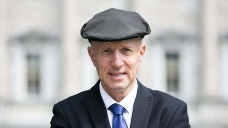 Man who intimidated Michael Healy-Rae must understand ‘ramifications’ of action, judge says