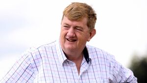 'Shark' Hanlon confirms intention to appeal IHRB suspension