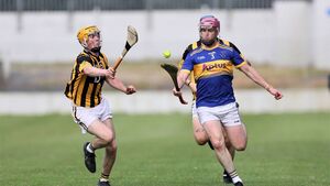 The best of this year's Senior Hurling Championship