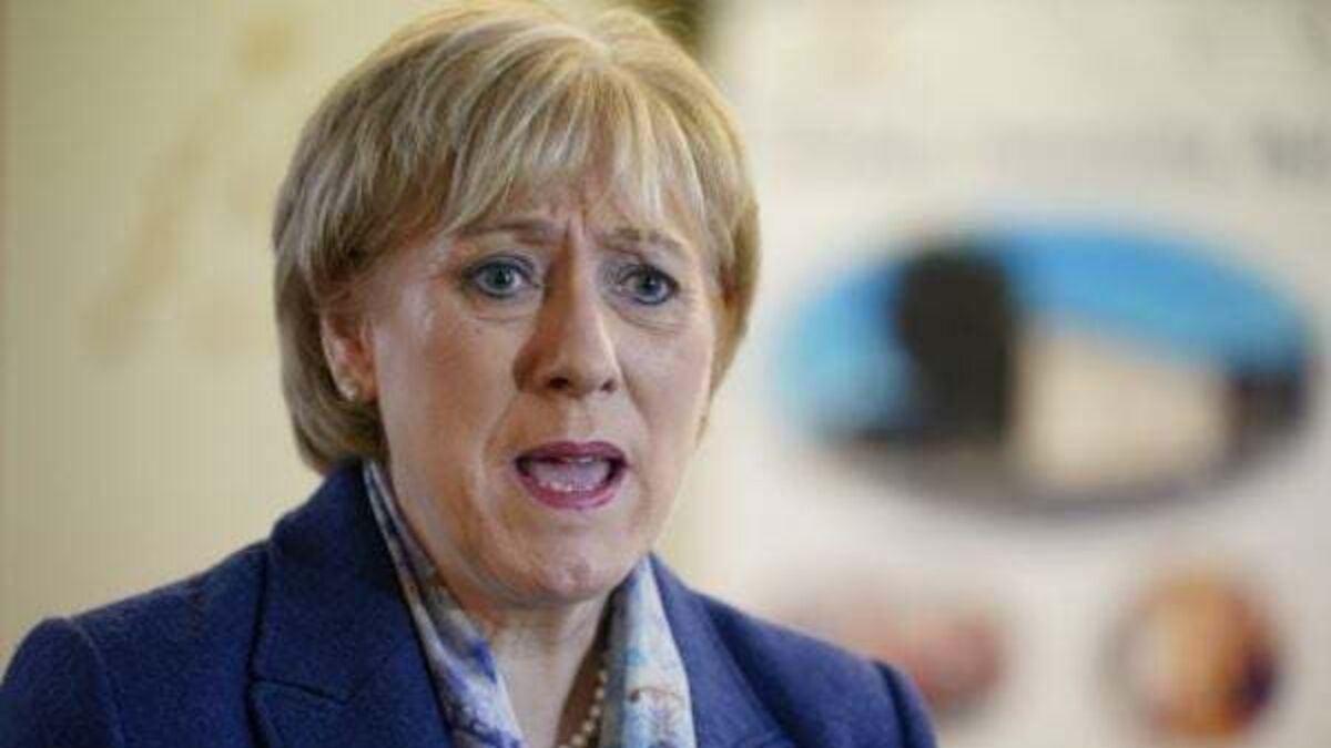 Minister told of cancer patient unable to leave full-time job due to low disability payment