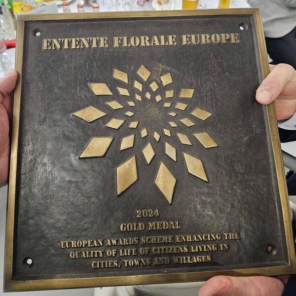 Carlow's gold medal