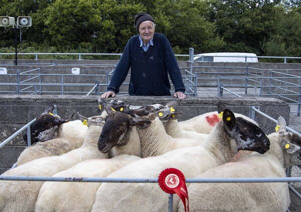 First prize in the two and three- year- olds John Hendrick, Craan, Bunclody 