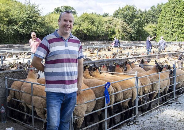 Second prize in the hogget ewes at Borris Sheep Breeders show and sale, John Egars, Ballynattin, Borris