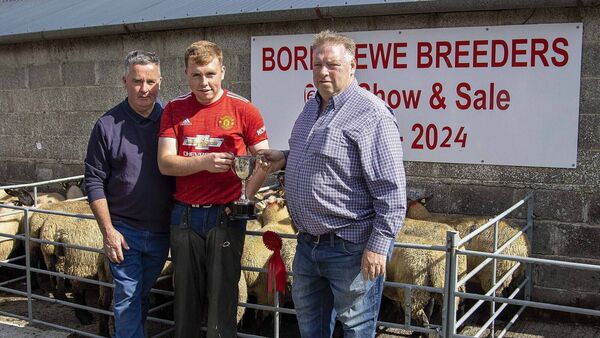 Top quality at Borris Ewe Breeders’ show