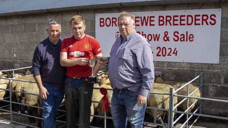 Top quality at Borris Ewe Breeders’ show