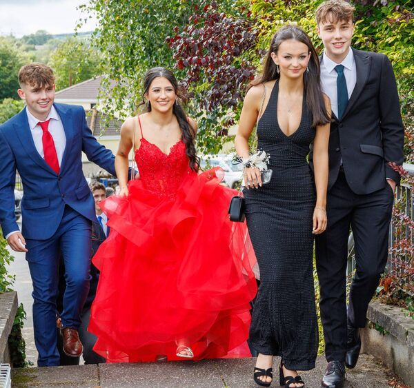 Eoin Kearney, Kate Lewis, Sarah Curran and Sean Roche