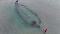 Analysis continues into historical shipwrecks found off Dublin coast