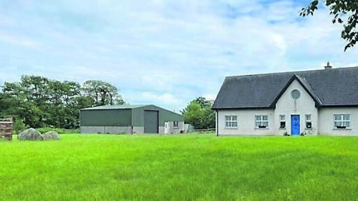 Longmile, Burtonhall Demesne, Palatine, Co Carlow