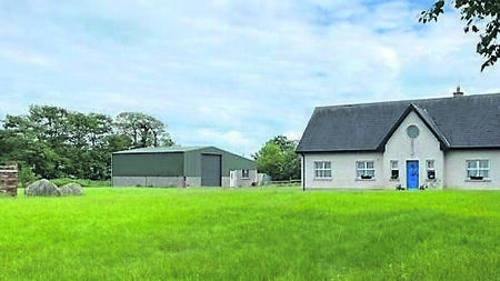 Longmile, Burtonhall Demesne, Palatine, Co Carlow