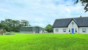 Longmile, Burtonhall Demesne, Palatine, Co Carlow