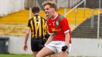 Palatine hit top form in U14A final
