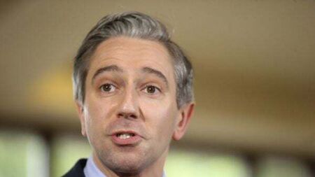 Opinion poll shows rise in support for Fine Gael