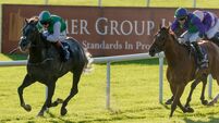 Mullins teams up with Keane for Curragh winner