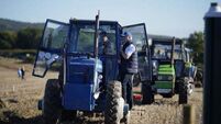 Everything you need to know about this year's National Ploughing Championship