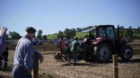 Politicians descend on Ploughing Championships as pressure builds ahead of election