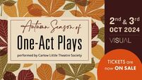  Busy time ahead for Carlow Little Theatre 