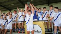Bowe and Donnelly lead Carlow Town to U14 Hurling title