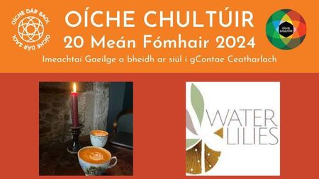 Oíche Chultúir 2024 i gCeatharlach 