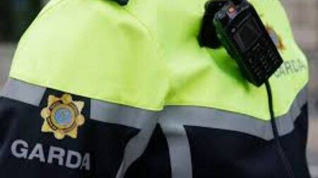 Arson attacks on two homes in Carlow town