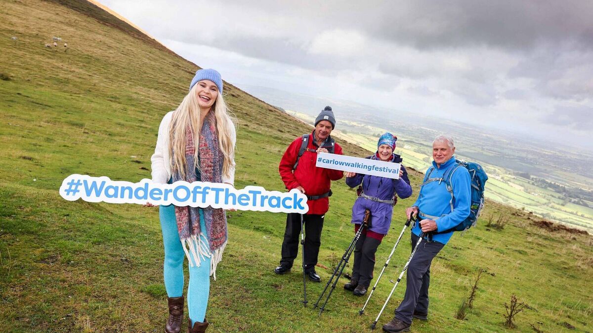 Walking festival has something for all 