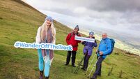 Walking festival has something for all 