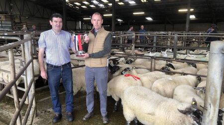 Aughrim Sheep Breeders’ 57th annual show and sale