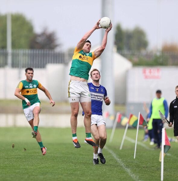 Brendan Murphy makes a fine catch near the sideline for Rathvilly  Photo: Pat Ahern