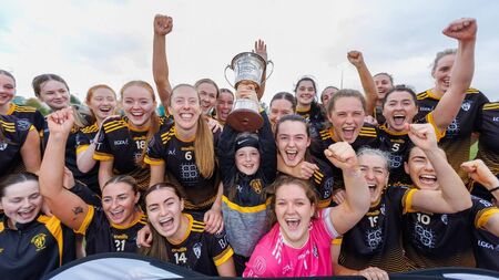 Dwyer's introduction tips tie in Bennerkerry/Tinryland's favour