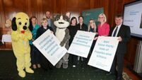 Stormont urged to introduce new regulations around pet breeding