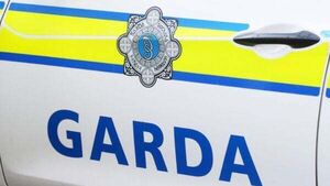 Gardaí appeal for witnesses following serious Co Kilkenny collision Gardaí appeal for witnesses following serious Co Kilkenny collision