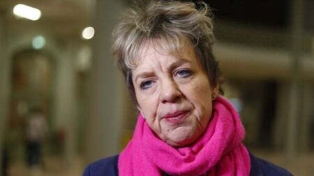 Bacik disagrees with Labour councillor on Lebanon pager attacks