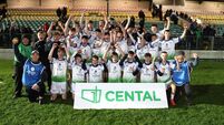 Carlow Town/Setanta always in control of U16 Hurling final
