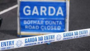 Man (70s) dies after single vehicle collision in Co Kilkenny Man (70s) dies after single vehicle collision in Co Kilkenny