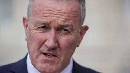 Sinn Féin was not aware of McMonagle references until last week, says Conor Murphy