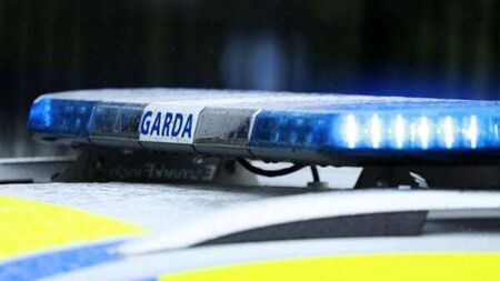 Three men arrested in Cork after 60 gardaí seize multiple weapons