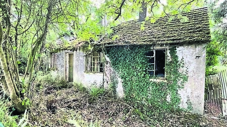 Derelict cottage may have potential 