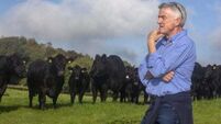 Michael O’Leary ‘astonished’ by green power of his farm’s solar panels