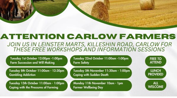 Free workshops throughout October and November Free workshops throughout October and November