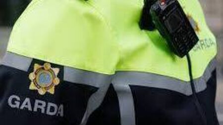 40 arrested on five-day garda blitz 