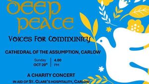 Concert for peace in aid of hospitality kitchen