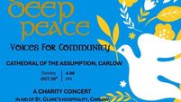 Concert for peace in aid of hospitality kitchen 