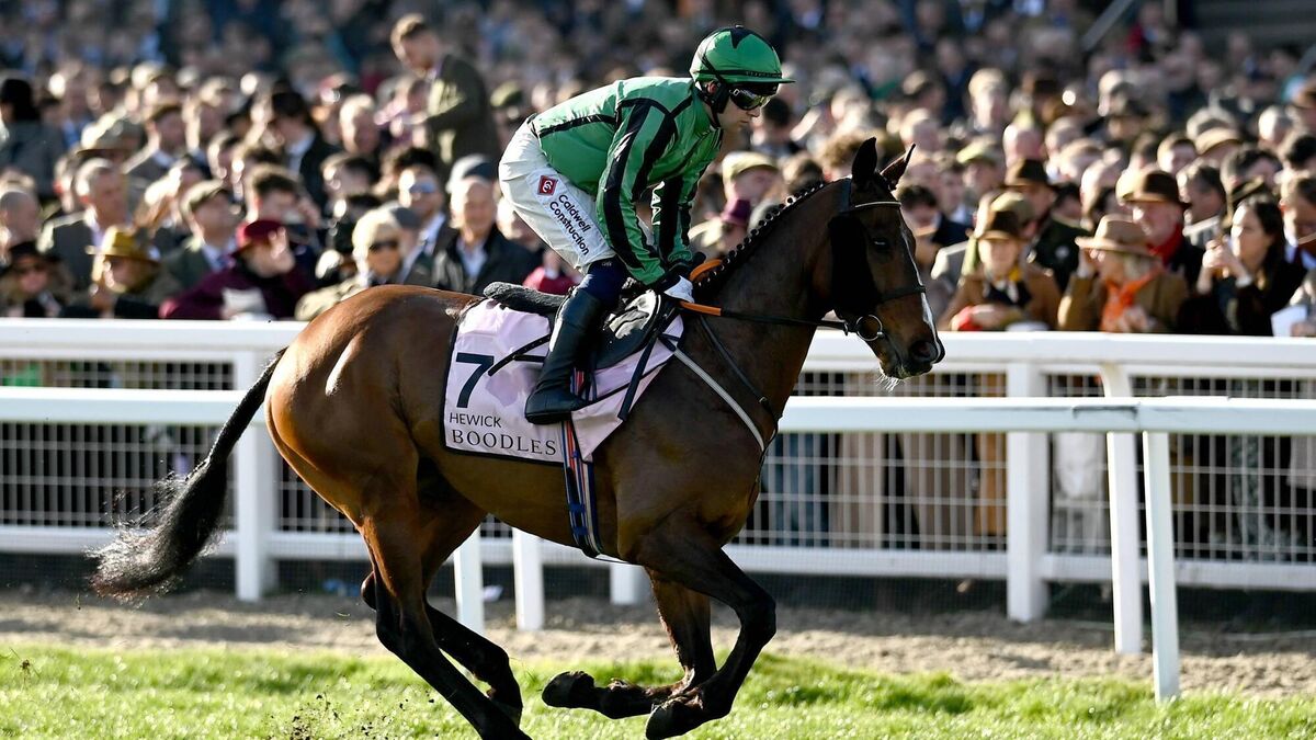 Hewick the star attraction at Punchestown today