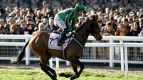 Hewick the star attraction at Punchestown today