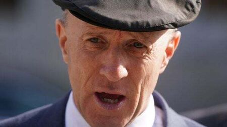 Man guilty of ‘intimidating’ TD Michael Healy-Rae must do DIY and community work