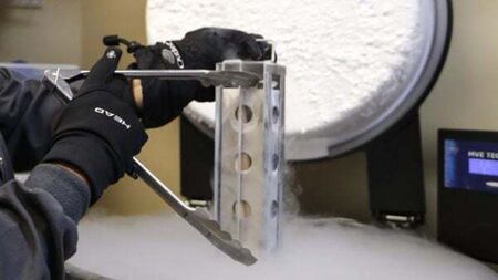 Hiqa publishes report to support national fertility preservation policy